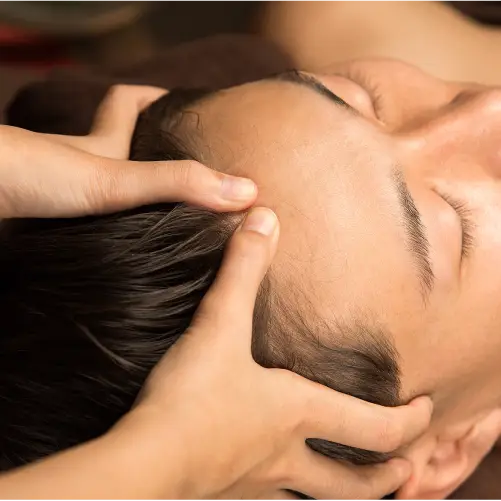 【育毛促進ベーシックプラン】